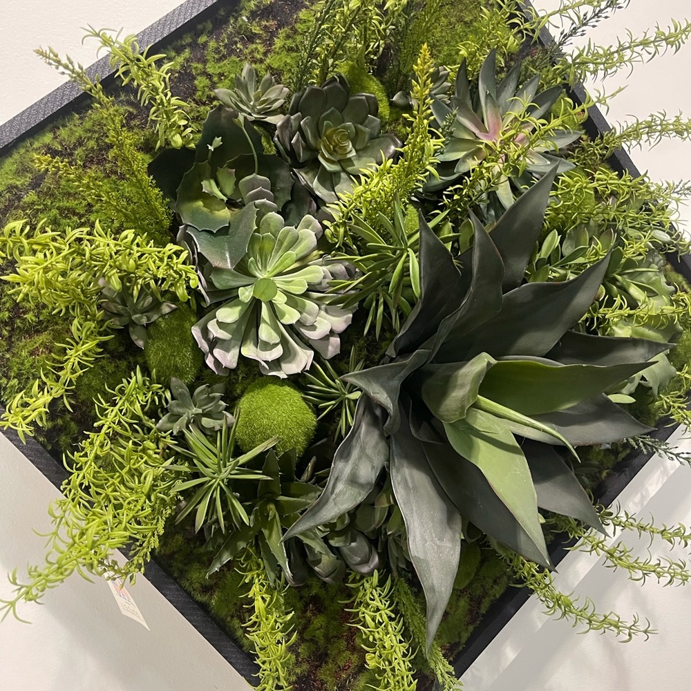 Lush Green Succulent Wall Decor